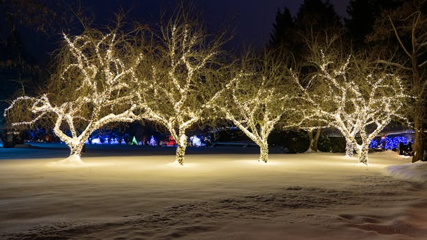 Finnish Cabins That Glow Inside While Snow Falls Outside