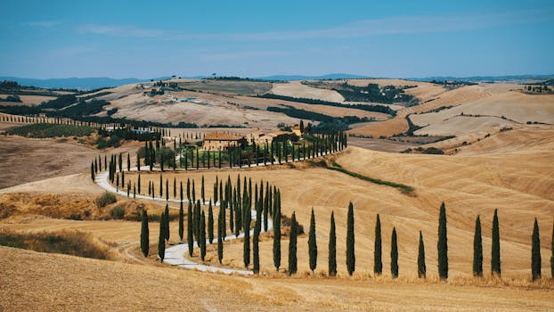 Tuscany Villas With Wine-Soaked Hammocks and Orchard Views