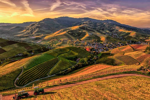Vineyard Villas Offering Pizza Class and Sunset Hikes