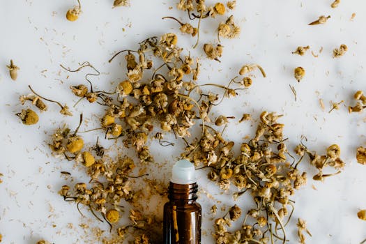 Vineyards With Wellness Villas & Lavender Oil Therapies